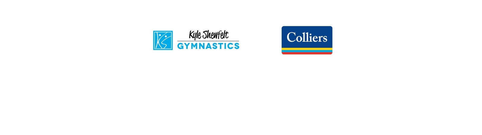 Logos for back to sport partner banner on website (4)